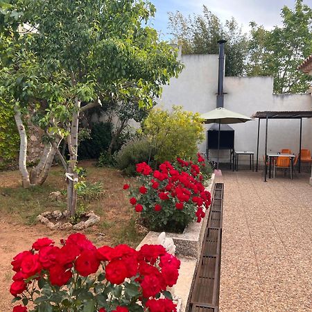Гостевой дом Casa Laureana Руидера Экстерьер фото